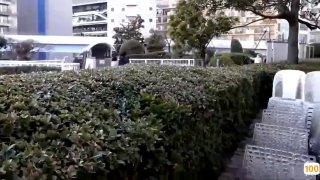 日本av高潮视频🔞🔯北京青年何西丁香视频🔞🔯男男漫画大尺度不删减🔞🔯